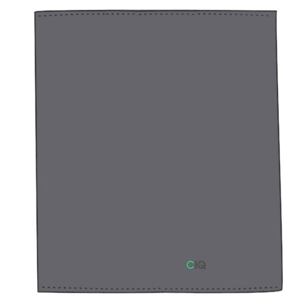 CIQ - Heavy Blend Fleece Stadium Blanket Thumbnail